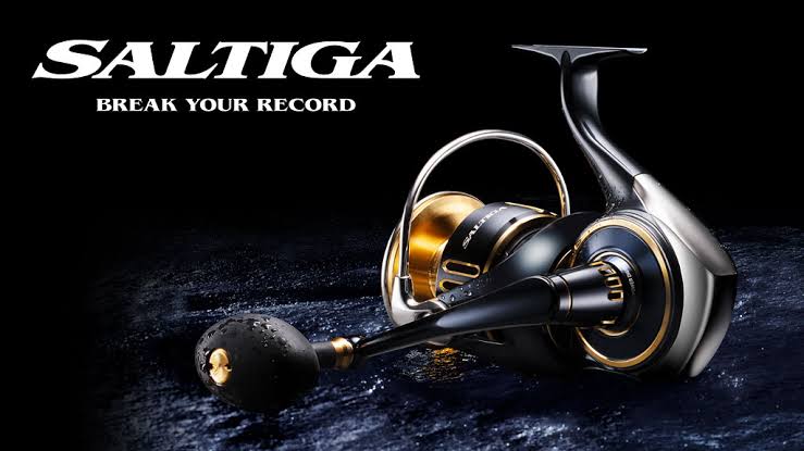 Daiwa Saltiga 20 000 P