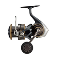 22 CALDIA SW 14000-H