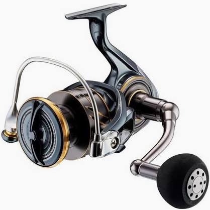 22 CALDIA SW 10000-P