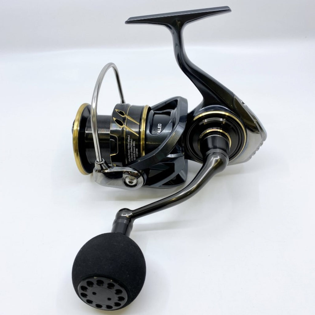 22 CALDIA SW 6000S-H