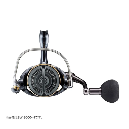 22 CALDIA SW 10000-P
