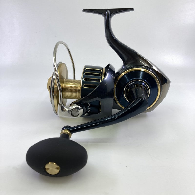 Daiwa Saltiga 20 000 P